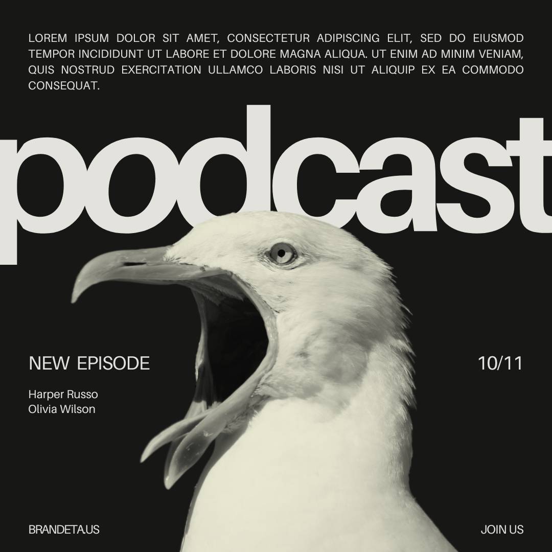 Black and White Bold Minimal Simple Modern Podcast Livestream Instagram Post